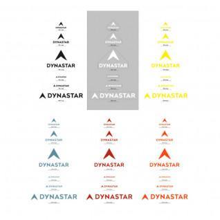 Klistermärken Dynastar transfer 5 couleurs