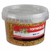 Kokta frön av vete Rameau 0,5 L
