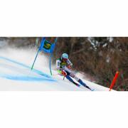 Skidor Dynastar Speed Course Wc Fis Gs Fac R22