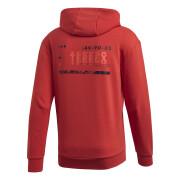 Sweatshirt med huva adidas Terrex Logo